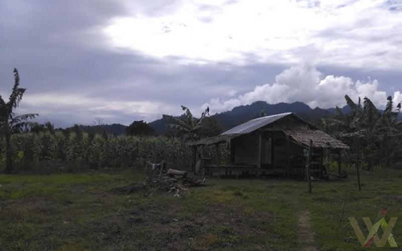 Wacana.info