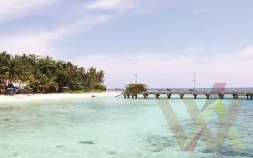 Wacana.info