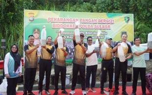 Kolaborasi DKP Sulbar dan Polda Sulbar, Bangun Kemandirian Pangan dari Pekarangan