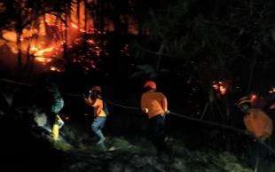 Membedah Status Tanggap Darurat Karhutlah, Kekeringan dan Ancaman Hidrometeorologi di Sulbar